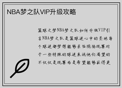 NBA梦之队VIP升级攻略